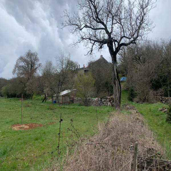 Offres de vente Maison Campestre-et-Luc 30770