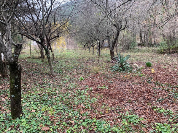 Offres de vente Terrain Montdardier 30120
