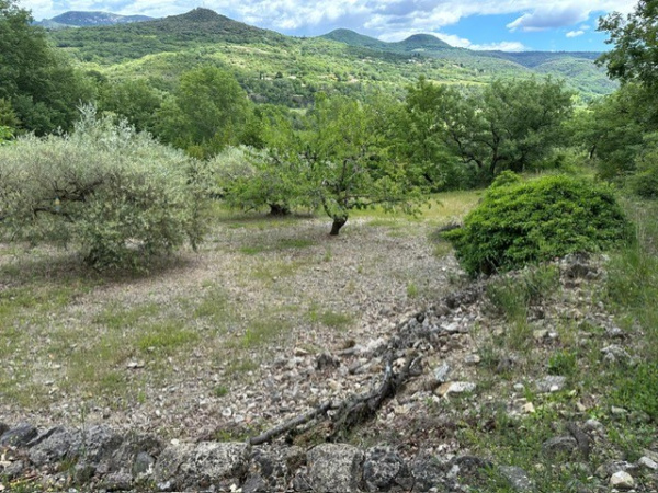 Offres de vente Terrain agricole Poujols 34700