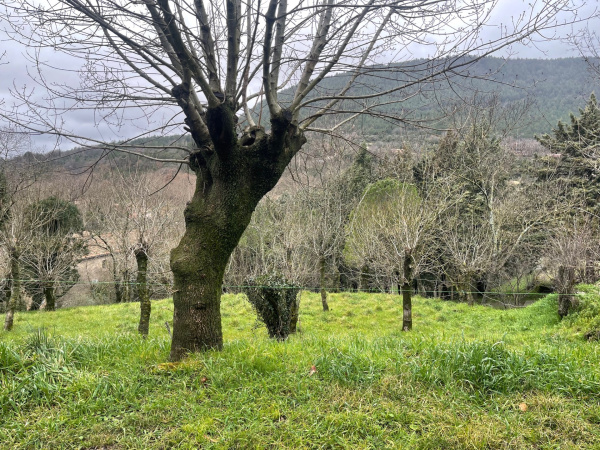 Offres de vente Terrain à batir Saint-Étienne-de-Gourgas 34700