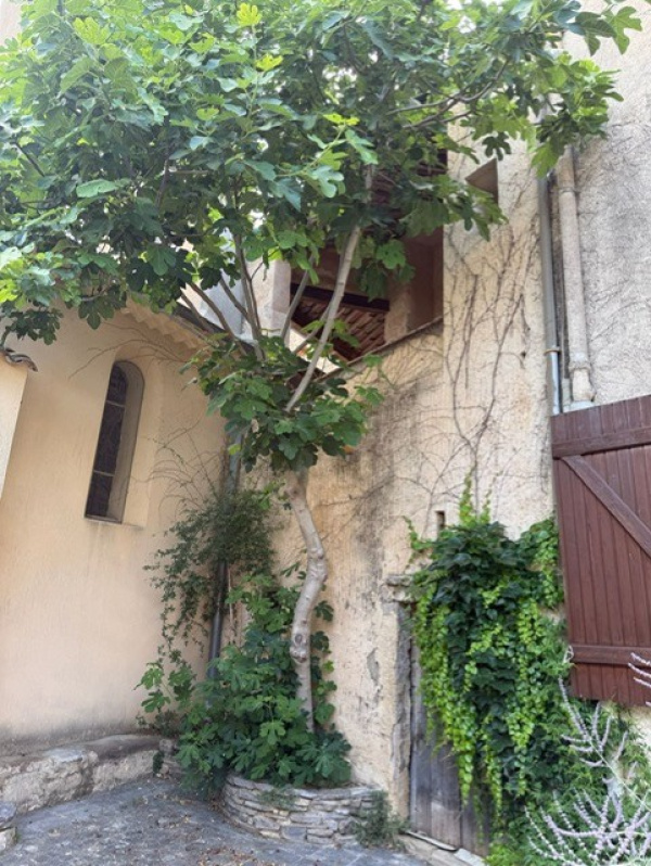 Offres de vente Maison Arboras 34150